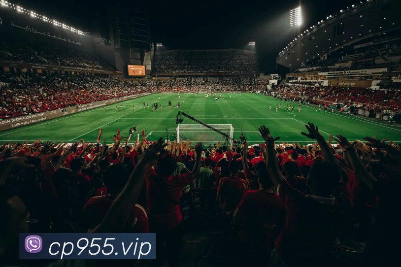 大发彩票全站App 大发彩票全站App